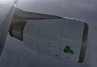 AERLINGUS_A330-300_EI-EAV_EWRDUB_0817_16_JP_small.jpg