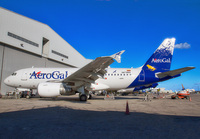 AEROGAL_A319_N872MX_MIA_0111_JP_small1.jpg