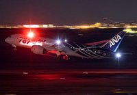 ANA_787-8_JA802A_HND_0117B_1_JP_small1.jpg