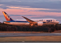 ANA_787-8_JA820A_NRT_0119_7_JP_small.jpg