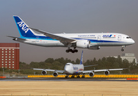 ANA_787-8_JA834A_NRT_0117A_JP_small.jpg