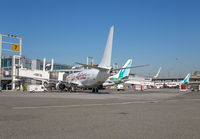 CARIBBEAN_737-800_9Y-SXM_JFK_0515_JP_small.jpg