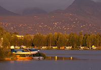 CESSNA185_N46563_LHD_0813B_JP_small.jpg