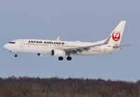 JAL_737-800_JA328J_CTS_0117_1_JP_small.jpg