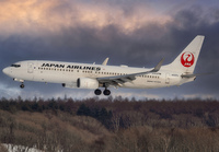 JAL_737-800_JA328J_CTS_0117_3_JP_small.jpg