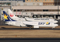 SKY_JAL_737-800_HND_0117_JP_small.jpg