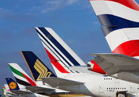 TBTI_LAX_1114BB_JP_small2.jpg