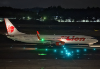 THAILION_737-900_HS-LVL_NRT_0224_JP_small.jpg