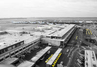 WORLDPORT_JFK_1290_JP__TAKE1_small.jpg